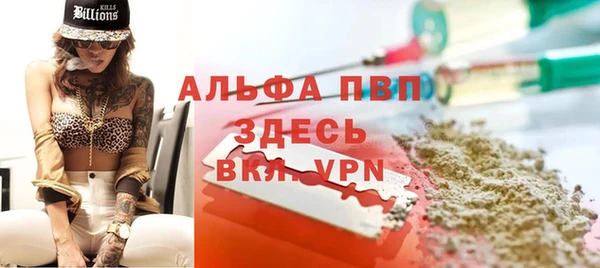 прущий лед Абаза