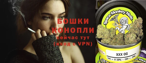 прущий лед Абаза