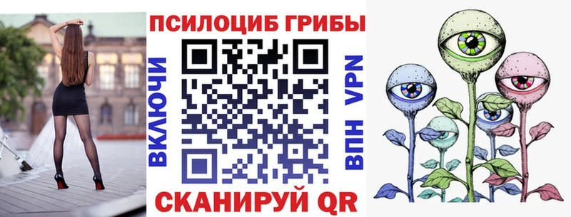 ОМГ ОМГ вход  Якутск  Галлюциногенные грибы Psilocybe 